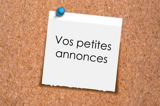 Petites annonces 3